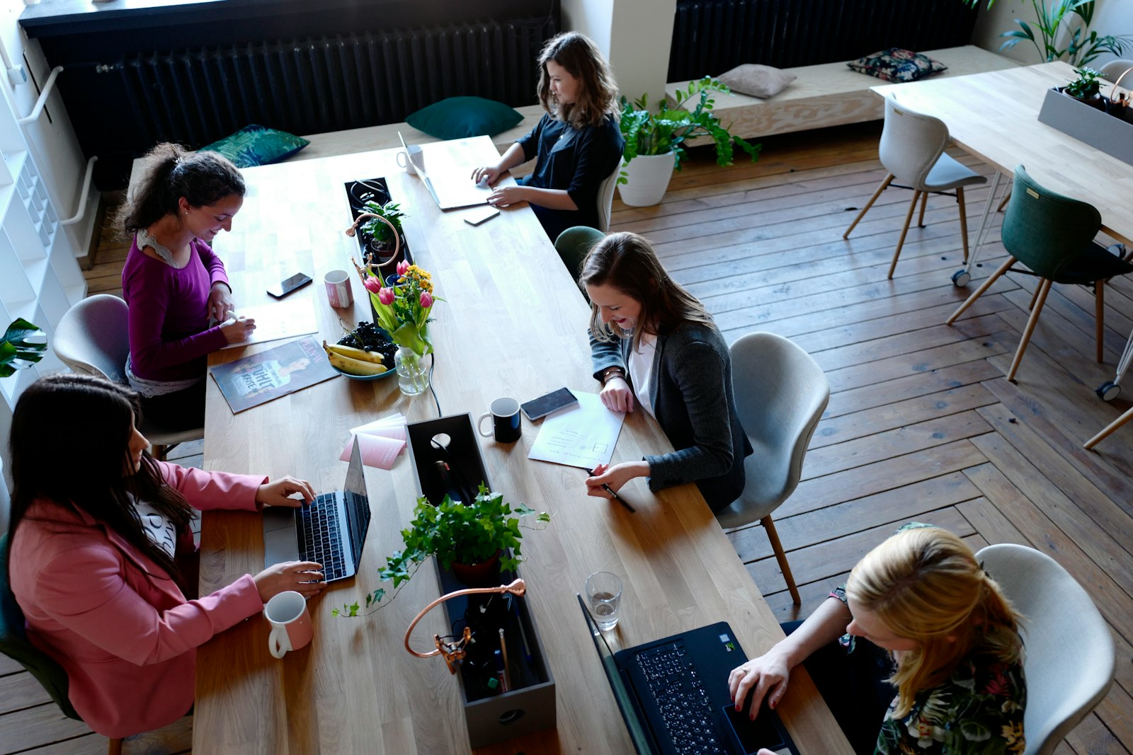 People working together on laptops